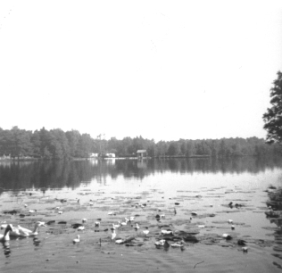 Blick von Feldmanns Bootssteg zum Bootsverleih