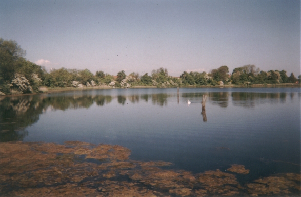 Photo von Refshalevej nach Westen. Mai 2002. Copyright by jen.