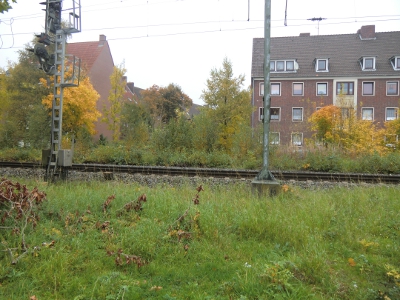 Farbfoto: Die elektrifizierte Eisenbahnlinie Leer-Emden und im Bildhintergrund die Fürbringerstraße in Emden im Oktober des Jahres 2012. Foto: Erwin Thomasius.
