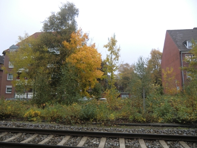Farbfoto: Blick über ein Eisenbahngleis auf die Fürbringerstraße in Emden im Oktober des Jahres 2012. Foto: Erwin Thomasius