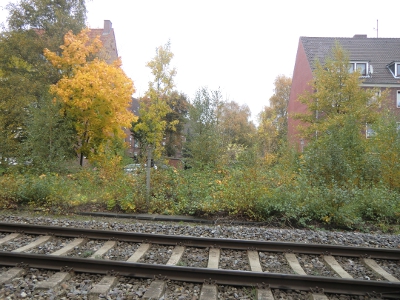 Farbfoto: Blick auf die von Leer rechts vom Foto nach Emden Hauptbahnhof links vom Foto verlaufenden Schienen. Im Bildhintergrund dahinter de Fürbringerstraße. Im Oktober des Jahres 2012. Foto: Erwin Thomasius.