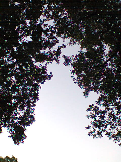 Farbfoto: Der Himmel über der Hasenheide. Im Juni des Jahres 2013. Copyright by jen