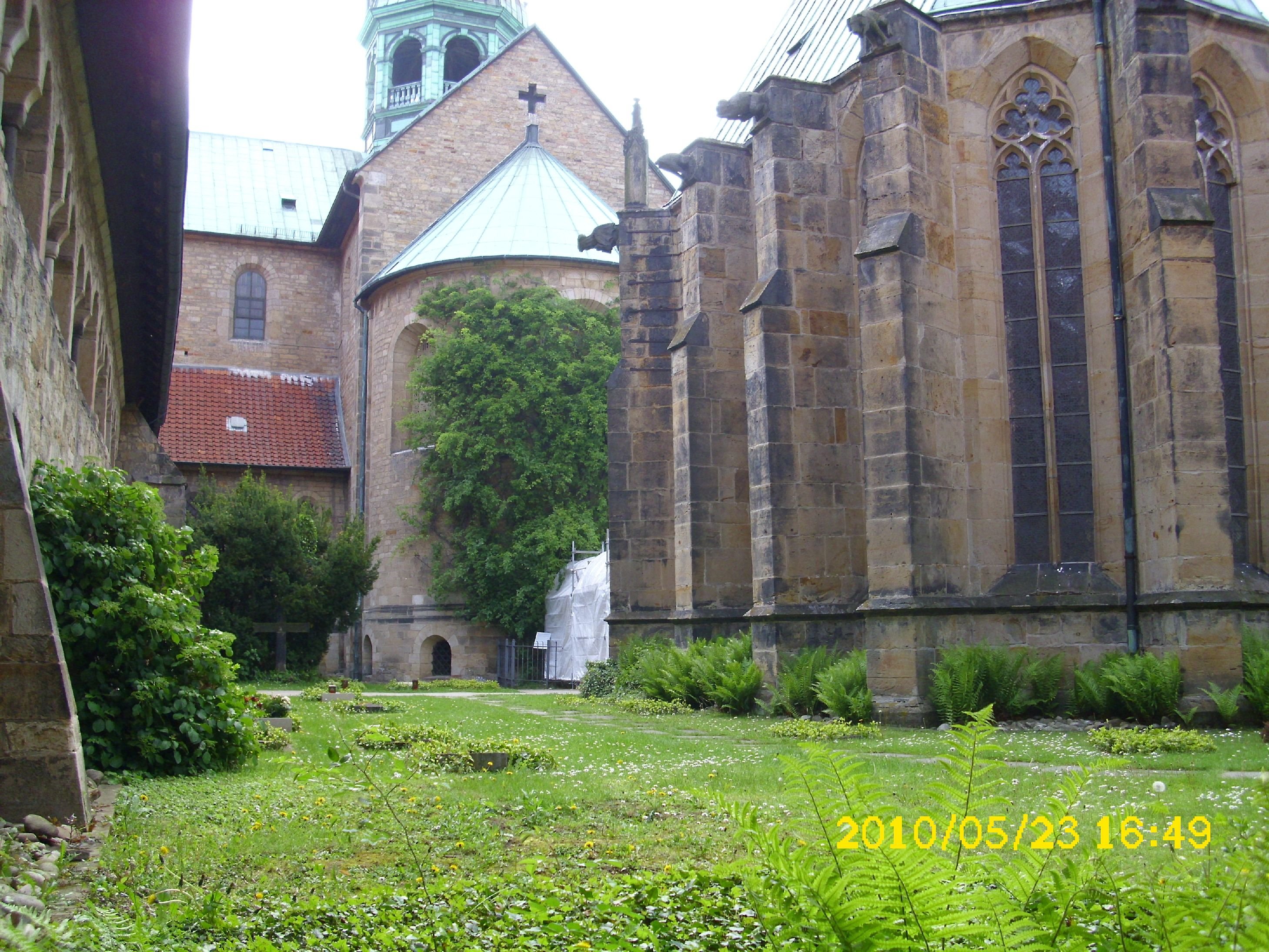 Farbfoto: Der Kreuzgang des Hildesheimer Mariendoms am Pfingstsonntag im Jahre 2010. Etwas links von der Bildmitte: Die 1000-jährige Rose. Fotograf: Kim Hartley.