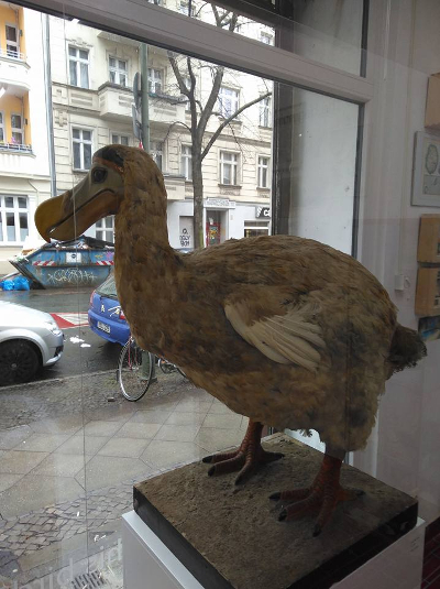 Farbfoto: Der Dodo aus Mauritius in der Galerie centrumberlin in der Reuterstraße in Berlin im Bezirk Neukölln im Jahre 2017. Fotograf: Ralf Splettstößer.