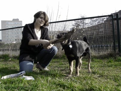 Farbphoto von Justyna und von dem Hund SHIVA auf einer Wiese am Nordufer in Berlin im Bezirk Wedding am Sonntag dem 3. April 2005. Photograph: Kim Hartley.