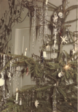 Unser Tannenbaum im Jahre 1965