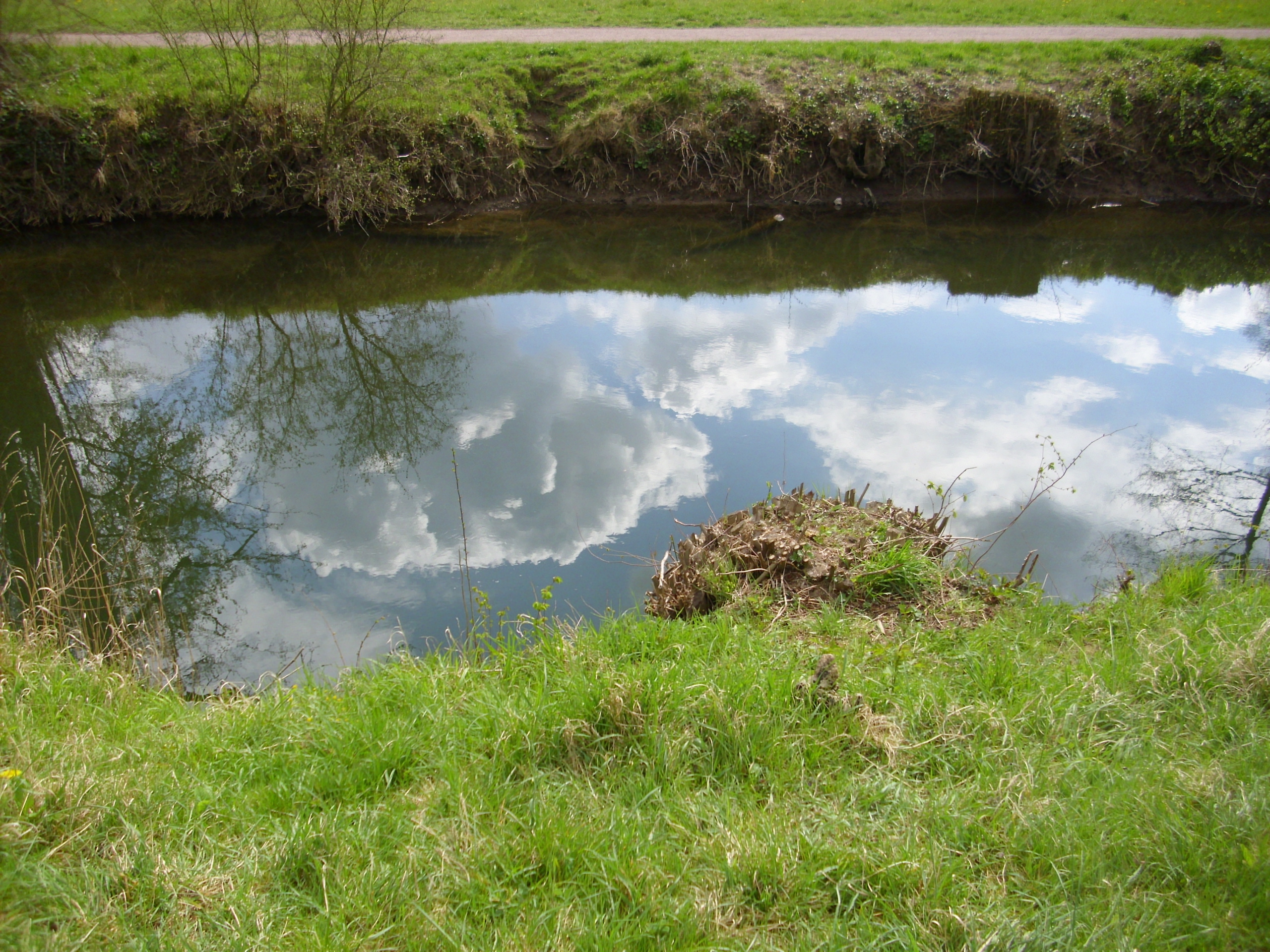 Farbfoto: Der Fluss DIE ILM in Weimar im Park an der Ilm am 22. April im Jahre 2012. Fotograf: Bernd Paepcke.